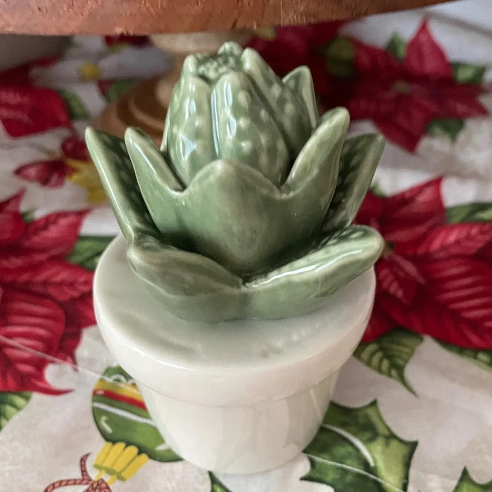 believeinhope succulent ceramic